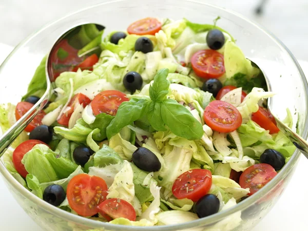 Lettuce salad — Stock Photo, Image