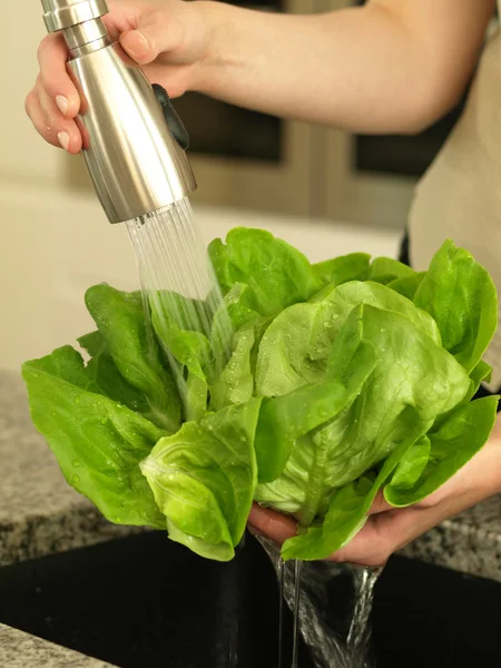 Shower of lettuce — Stock Photo, Image