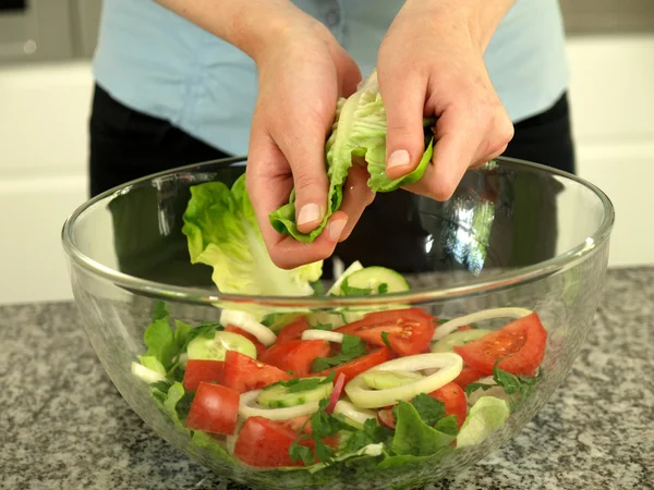 Förbereda sallad — Stockfoto