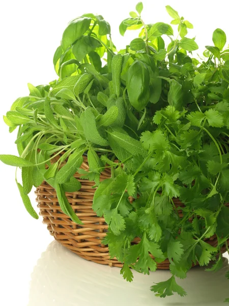 Herbs in basket — Stock Photo, Image