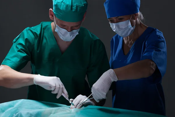 Médicos durante a cirurgia — Fotografia de Stock