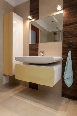 lüks banyo ev