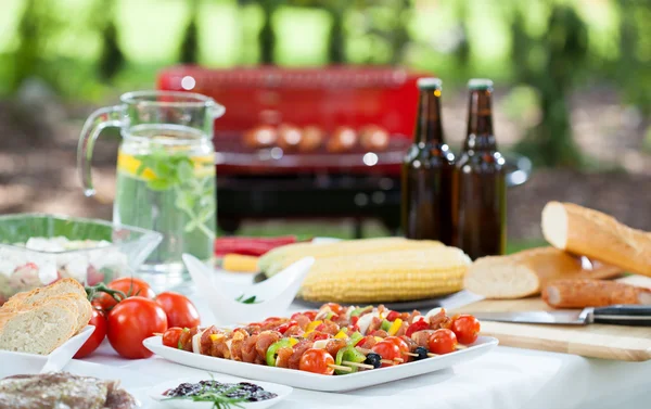 Before barbecue party — Stock Photo, Image