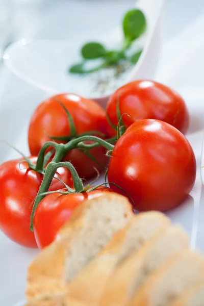 Beautiful tomatoes on grill party — Stock Photo, Image