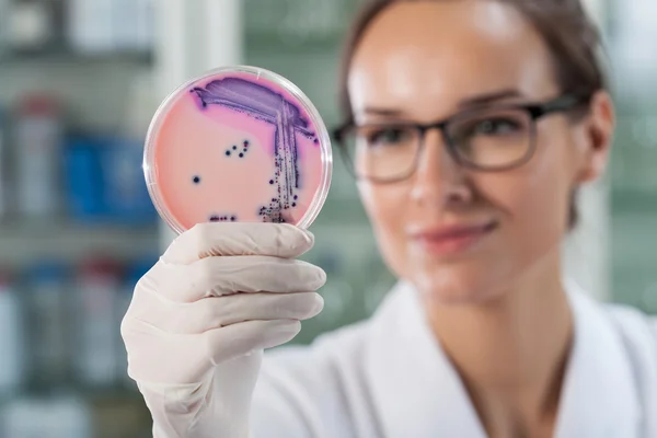 Frau experimentiert mit Mikrobakterien — Stockfoto