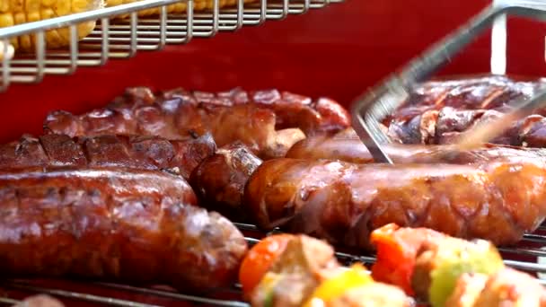 Grilled sausages — Stock Video