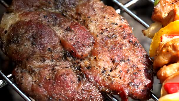 Meat on barbecue grill — Stock Video