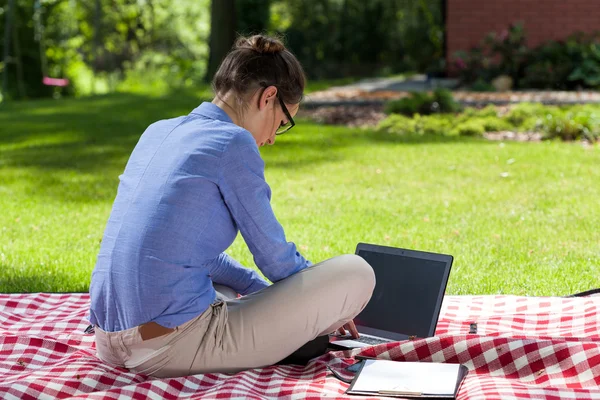 Dame werken op de computer — Stockfoto