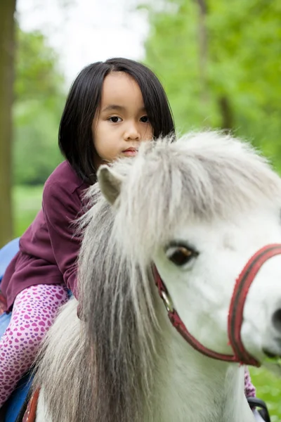 Девочка на маленькой лошади — стоковое фото