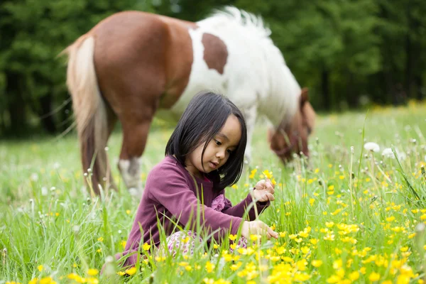 Pequeno cavalo e menina — Fotografia de Stock