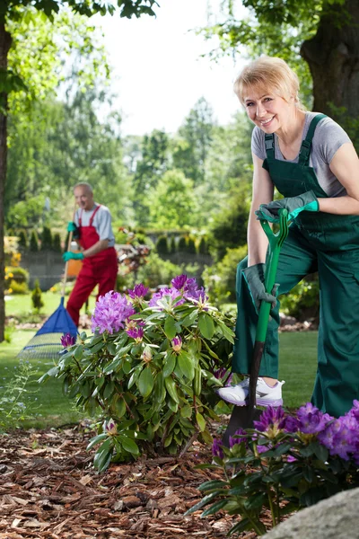 Woman with spade in garden — Stock Photo, Image