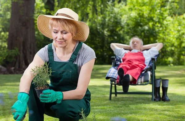 Женщина сажает цветы и отдыхает мужчина — стоковое фото