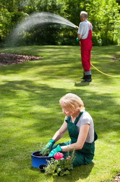 Paar tijdens dagelijkse taken in tuin — Stockfoto