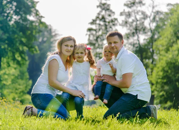 mutlu aile gitting Park çimenlerin üzerinde