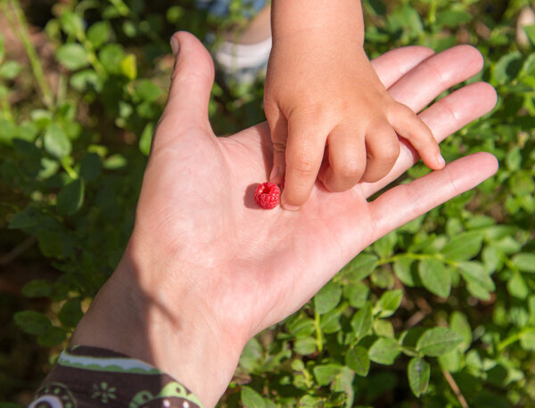 Mother giving a berry to her baby