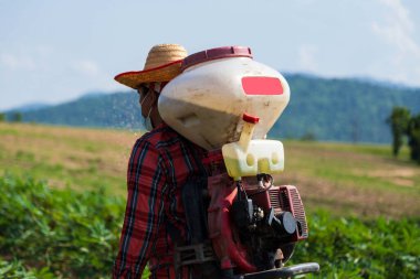Erkek bir çiftçi Tayland kırsalındaki bir kasava tarlasına bir spreyle gübre ekiyor..