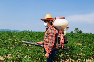 Erkek bir çiftçi Tayland kırsalındaki bir kasava tarlasına bir spreyle gübre ekiyor..