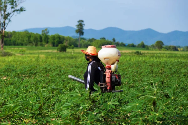 Manlig Bonde Sår Gödningsmedel Med Spruta Kassava Plantage Landsbygden Thailand — Stockfoto