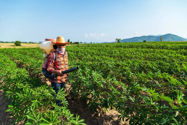 Manlig Bonde Sår Gödningsmedel Med Spruta Kassava Plantage Landsbygden Thailand — Stockfoto