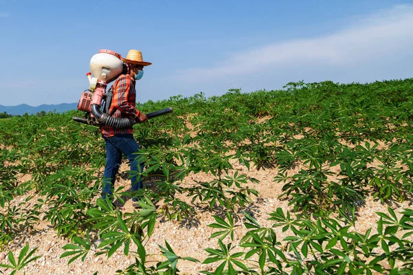 Male Farmer Sowing Fertilizer Sprayer Cassava Plantation Rural Thailand 로열티 프리 스톡 사진