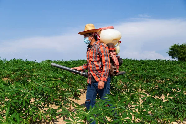 Male Farmer Sowing Fertilizer Sprayer Cassava Plantation Rural Thailand Stok Foto