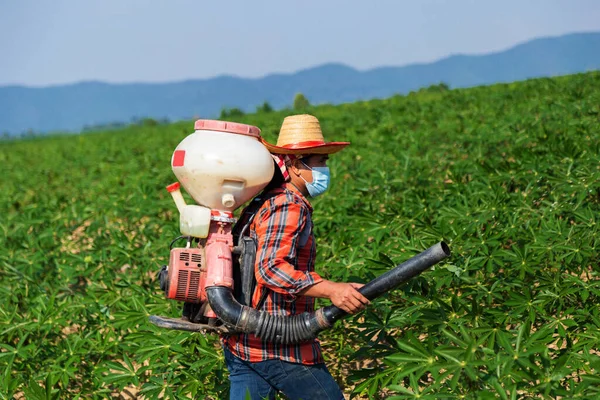 Male Farmer Sowing Fertilizer Sprayer Cassava Plantation Rural Thailand 로열티 프리 스톡 이미지