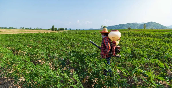 Male Farmer Sowing Fertilizer Sprayer Cassava Plantation Rural Thailand 스톡 사진