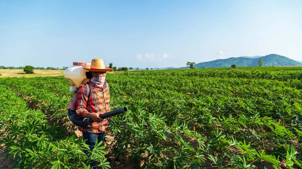 Male Farmer Sowing Fertilizer Sprayer Cassava Plantation Rural Thailand 스톡 이미지