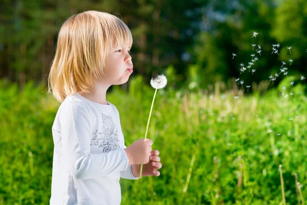 Cute blond little boy blowing a dandelion — Zdjęcie stockowe