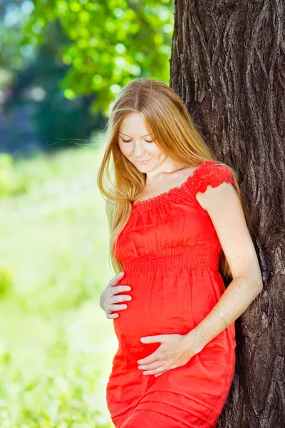 Piękna młoda kobieta w ciąży w czerwonej sukience patrząc na jej brzuch Obrazy Stockowe bez tantiem