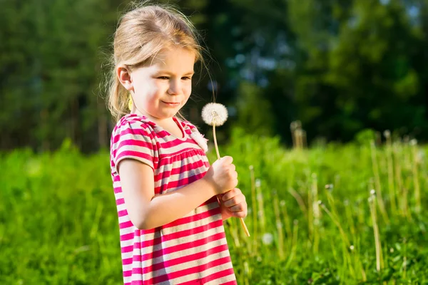 Grappig meisje met paardebloem in haar handen maakt wensen — Stockfoto