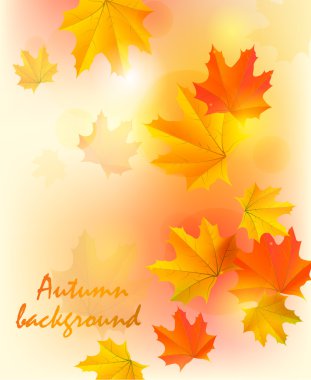 sonbahar plan vektör