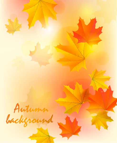 秋の背景のベクトル — ストックベクタ