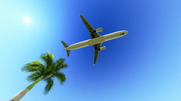 Самолет над пальмой — стоковое фото