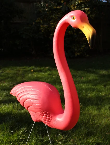 Розовый фламинго в саду Лицензионные Стоковые Изображения
