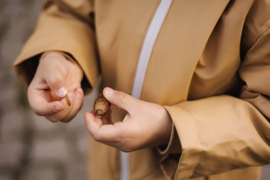 Meşe palamudunu elinde tutan kızın portresi. Sonbahar vakti dışarıda dolaşan şirin küçük bir kız. Ellerin yakın çekimi