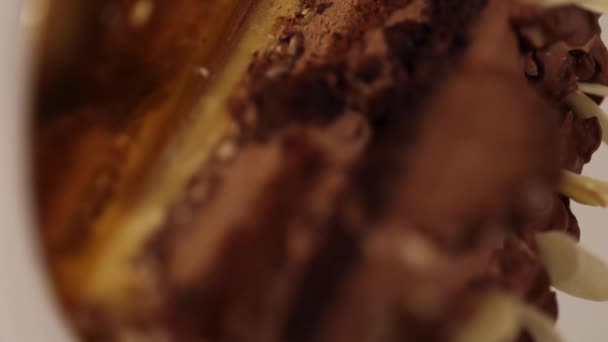 Sluiten van de romp van chocolade Bento cake. Presentatietaart op paashaas stand. Taart in de sectie. Blauwe wijting — Stockvideo