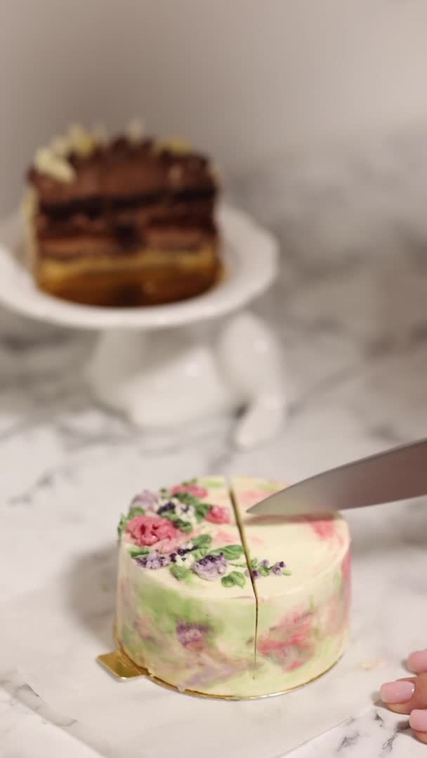 Медленное движение женского куска торта тирамису бенто. Презентация торта в секции. Сладкий десерт для одного человека. Маленький праздничный торт. Предыстория других тортов бенто — стоковое видео