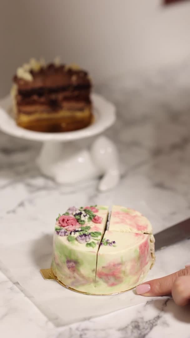 Αργή κίνηση γυναικείας τούρτας τιραμισού μπέντο. Παρουσίαση της τούρτας στην ενότητα. Γλυκό επιδόρπιο για ένα άτομο. Μικρή τούρτα γενεθλίων. Ιστορικό άλλων κέικ bento — Αρχείο Βίντεο