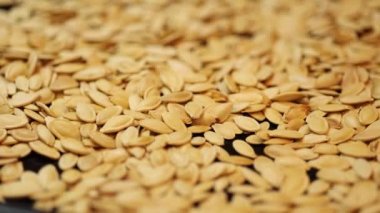 Vadilere yayılmış kabuklu balkabağı tohumları.