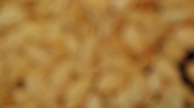 Kabukta kavrulmuş kabak tohumları üzerinde dağılmış haldeki odaksız video..