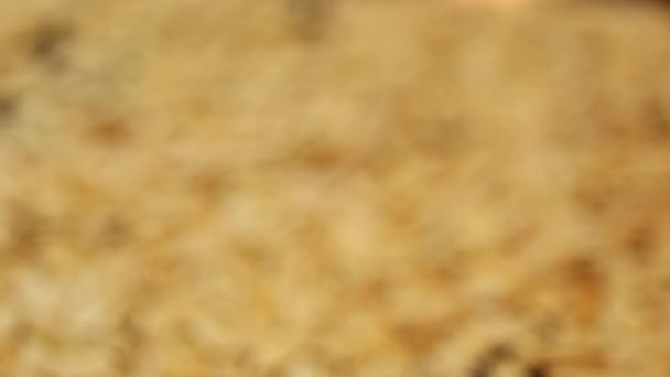 Kabukta Kavrulmuş Kabak Tohumları Üzerinde Dağılmış Haldeki Odaksız Video — Stok video