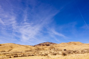 Nevada hayalet kasaba, tünel kampı