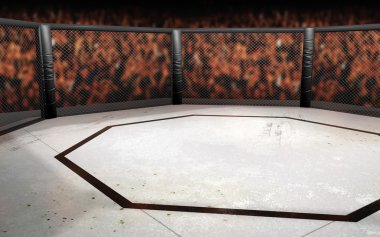 Octagon mücadele ring