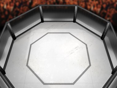 Octagon mücadele ring