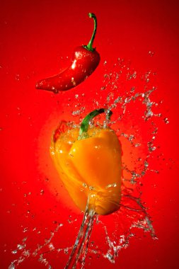 biber splash
