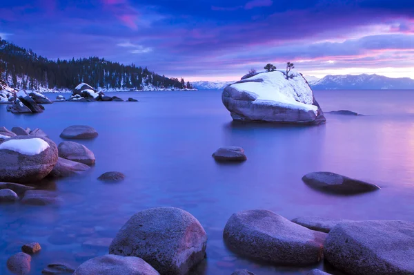 Batu Bonsai Musim Dingin di Danau Tahoe, Nevada — Stok Foto