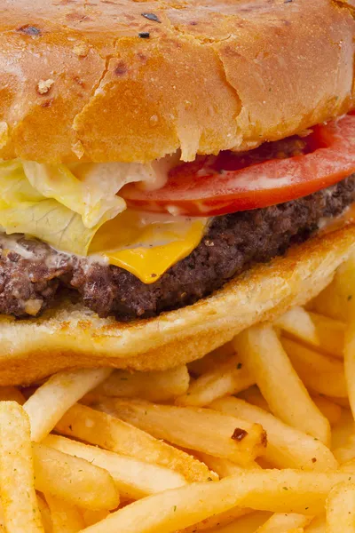 Closeup of cheese burger and fries — Stock Photo, Image