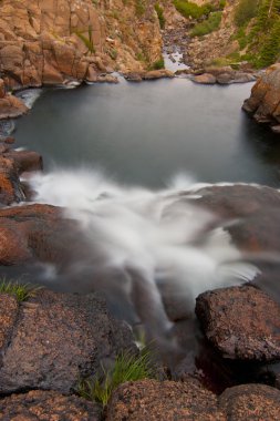 Amerika çamı falls