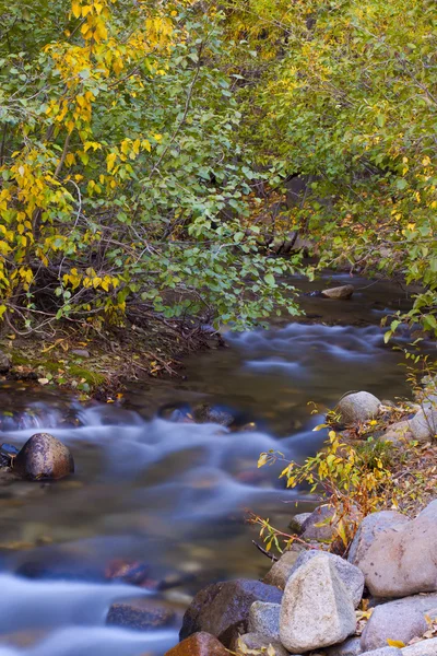 Autumn meadow — Stock Photo, Image